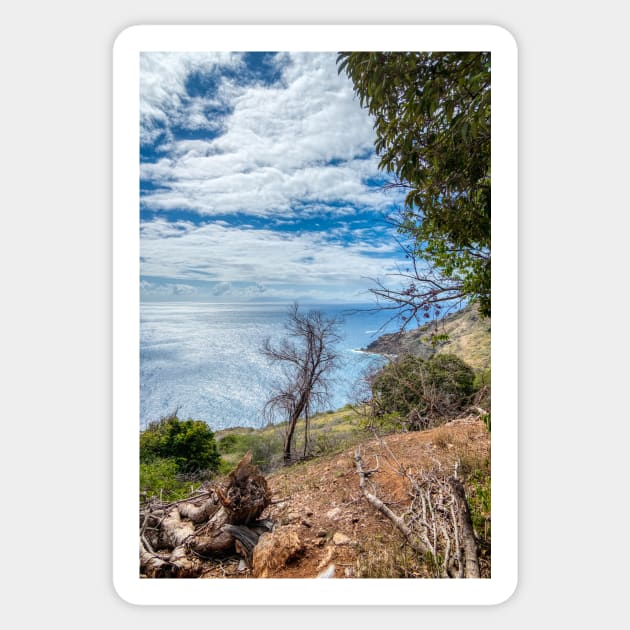 Antigua & Caribbean Coastline Sticker by stuartchard